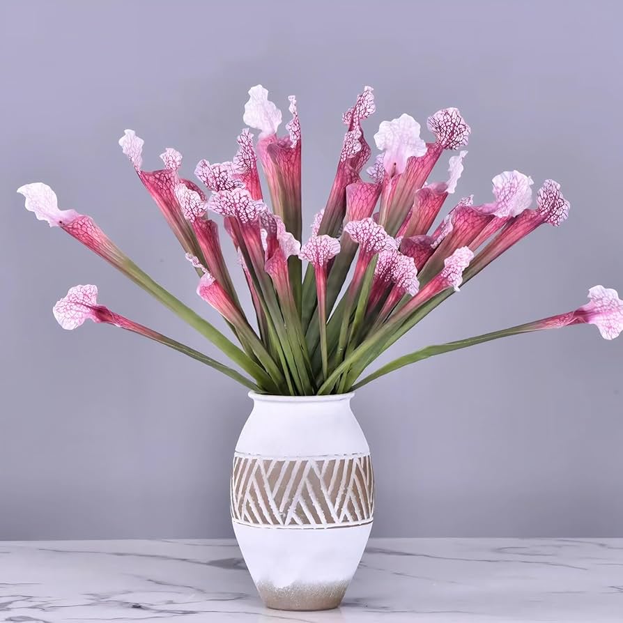 Amazon｜5個 17.5インチ 人工 肉食ピッチャー 植物 ピンク